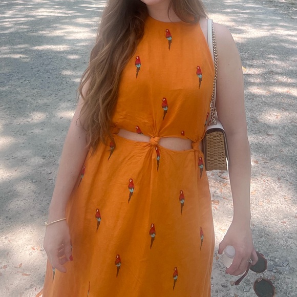 Farm Rio Parrot Embroidered Dress - Picture 6 of 6